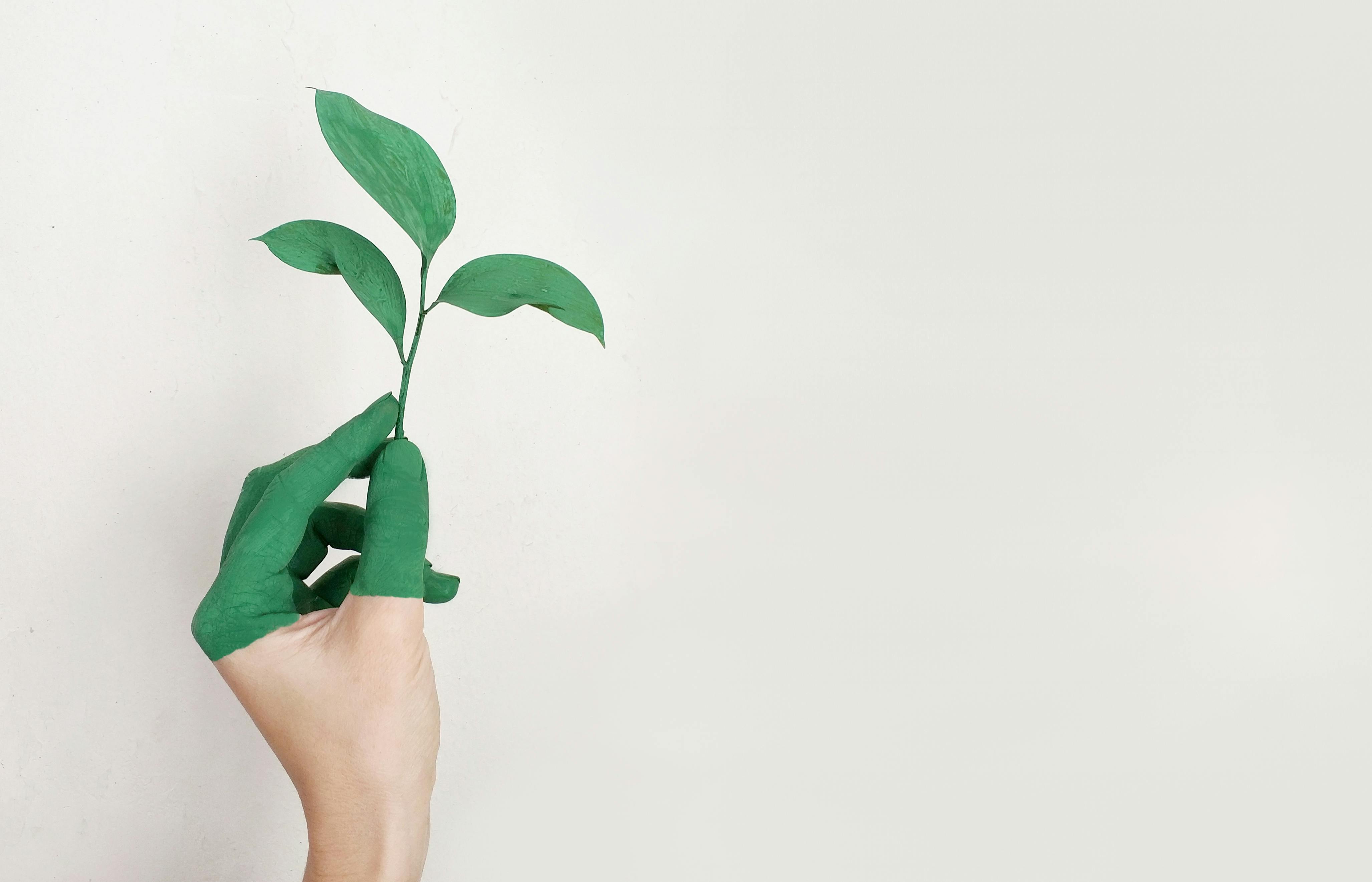 L'équipe DMB-Environnement en action
